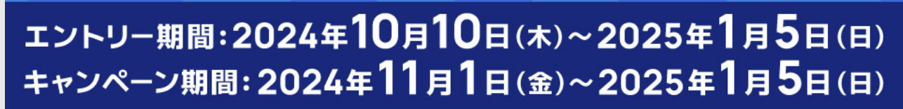 dポイント増量キャンペーン（2024年11月）：キャンペーン期間