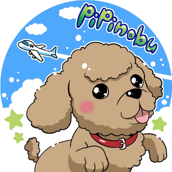 pipinobuのアイコン